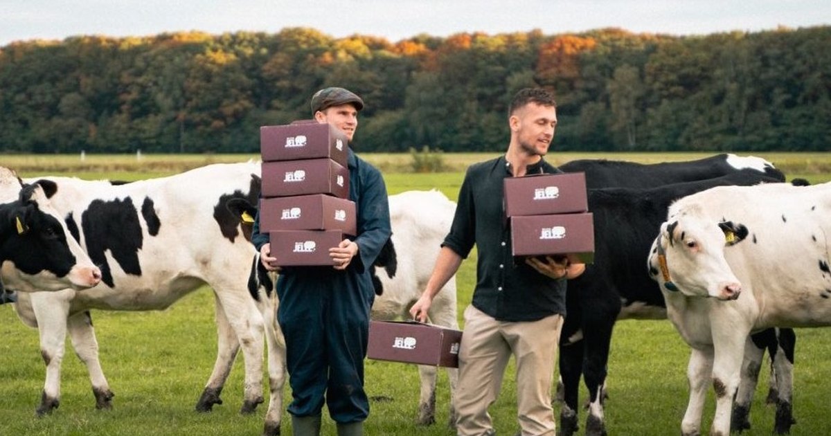 De makers van Ambachtsbox met Brabantse Boxen in een weiland met koeien